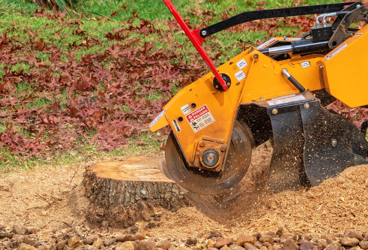 Stump Grinding by WestWood Tree Care arborists