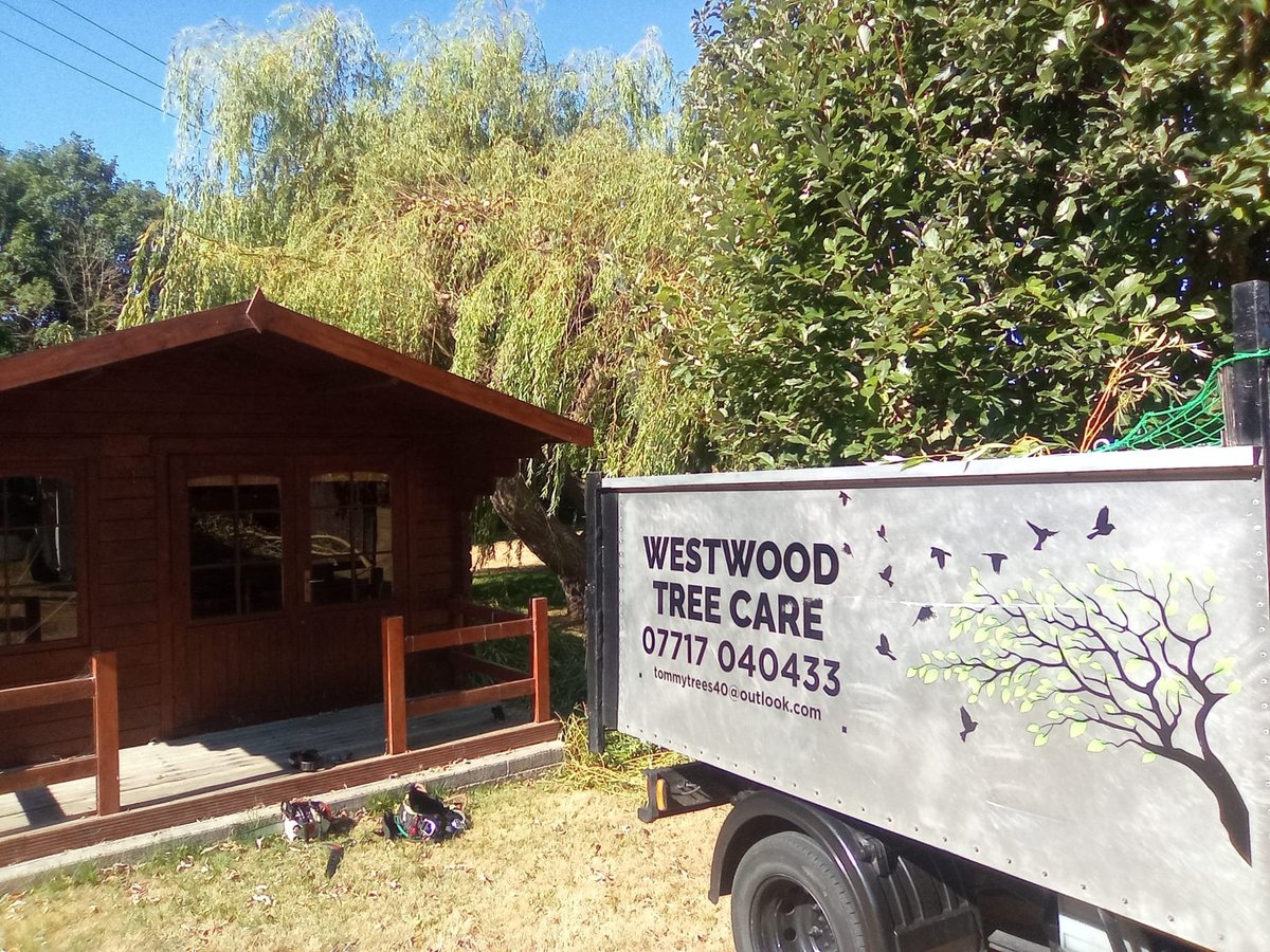 Westwood Tree Care service van parked next to a brown wooden garden shed with green foliage in the background